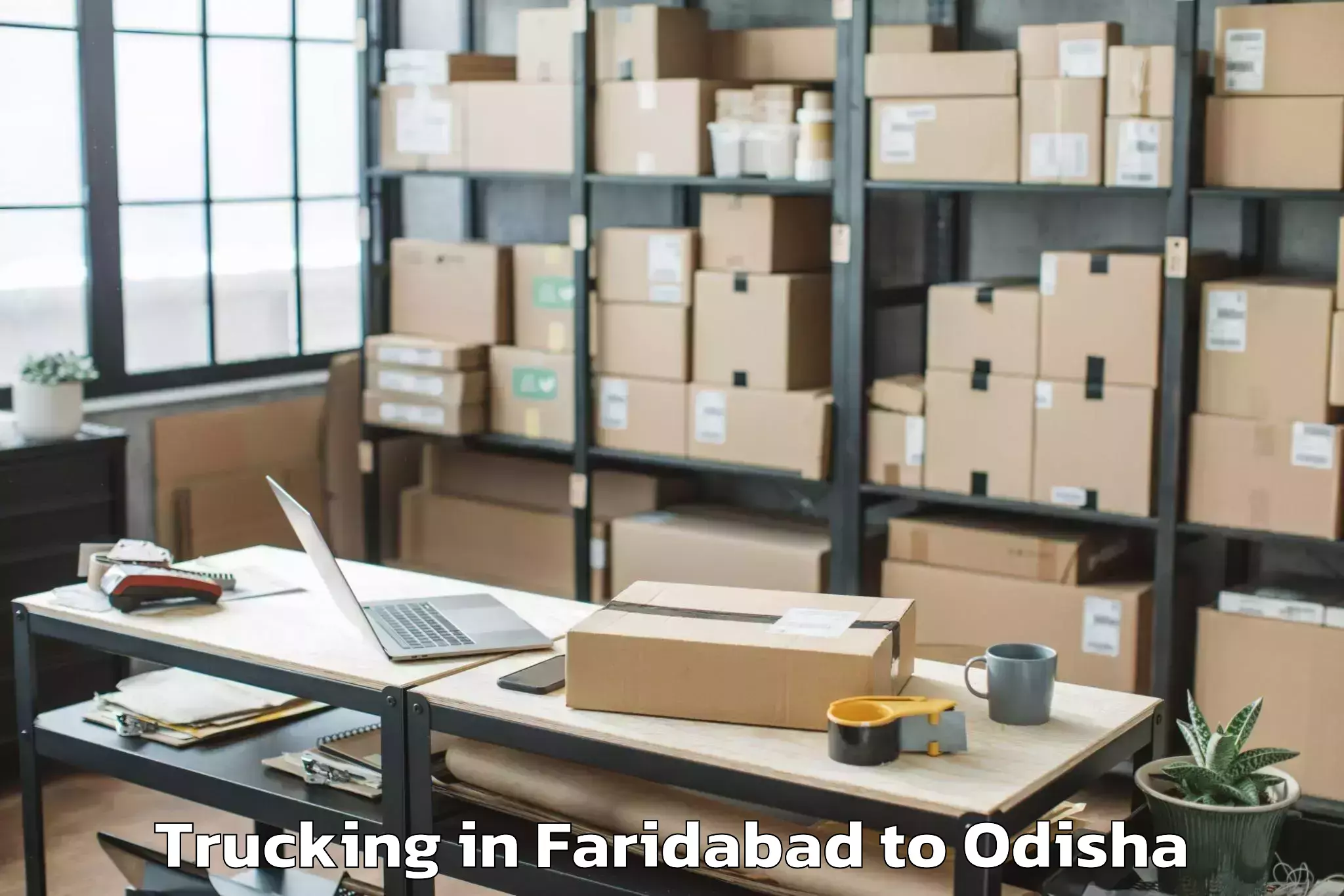 Quality Faridabad to Patnagarh Trucking